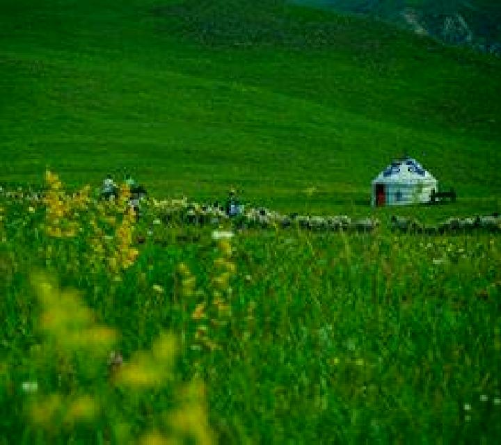 10 perfiles de escorts en Akyurt, Turquía. Explora chicas, servicios, tarifas y reserva online. En domicilio y visita disponibles.