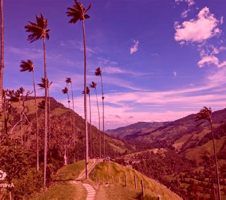 13 perfiles de escorts en Atempa, México. Explora chicas, servicios, tarifas y reserva online. En domicilio y visita disponibles.