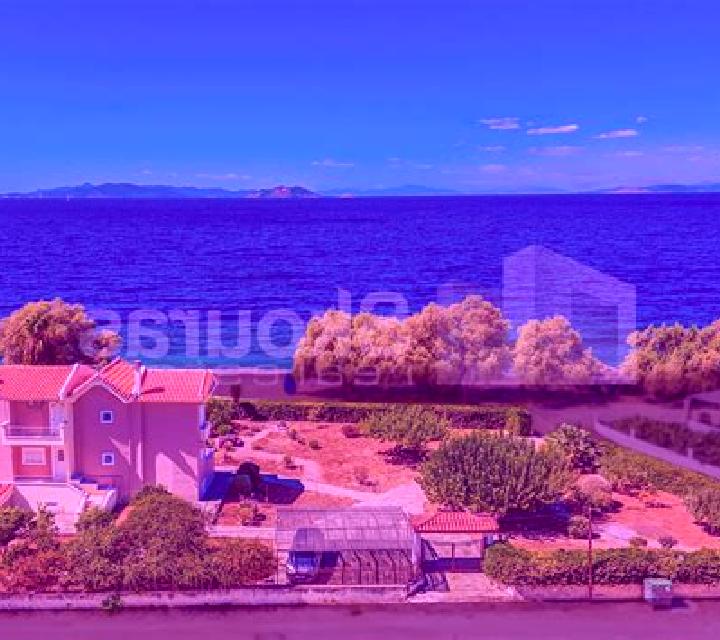 13 perfiles de escorts en Vaederstad, Suecia. Explora chicas, servicios, tarifas y reserva online. En domicilio y visita disponibles.