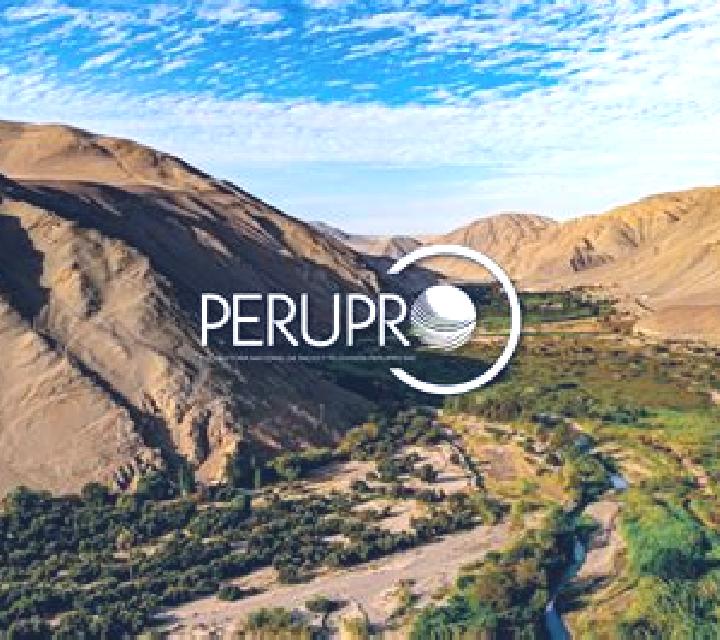 6 perfiles de escorts en Temara, Marruecos. Explora chicas, servicios, tarifas y reserva online. En domicilio y visita disponibles.