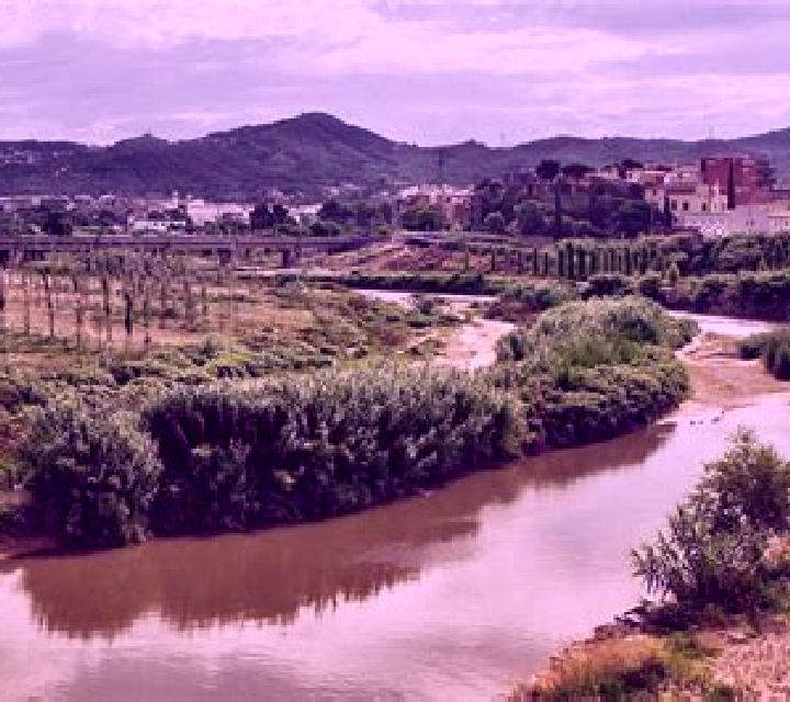 8 perfiles de escorts en El Prieto, México. Explora chicas, servicios, tarifas y reserva online. En domicilio y visita disponibles.