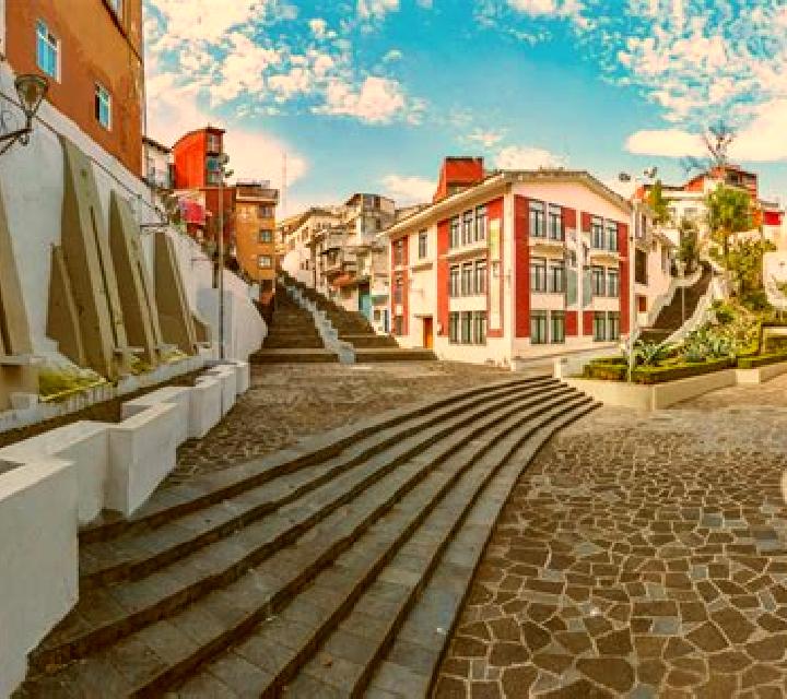 9 perfiles de escorts en Belgrade, Bélgica. Explora chicas, servicios, tarifas y reserva online. En domicilio y visita disponibles.