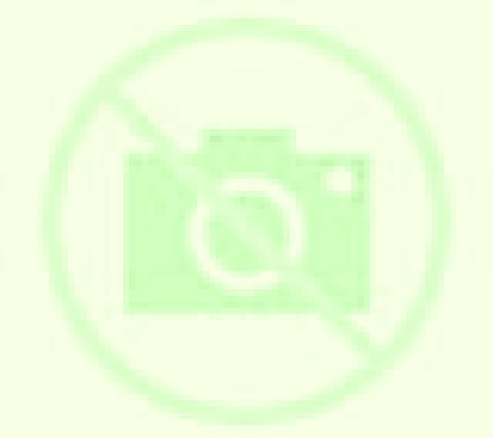 9 perfiles de escorts en Hakkari, Turquía. Explora chicas, servicios, tarifas y reserva online. En domicilio y visita disponibles.