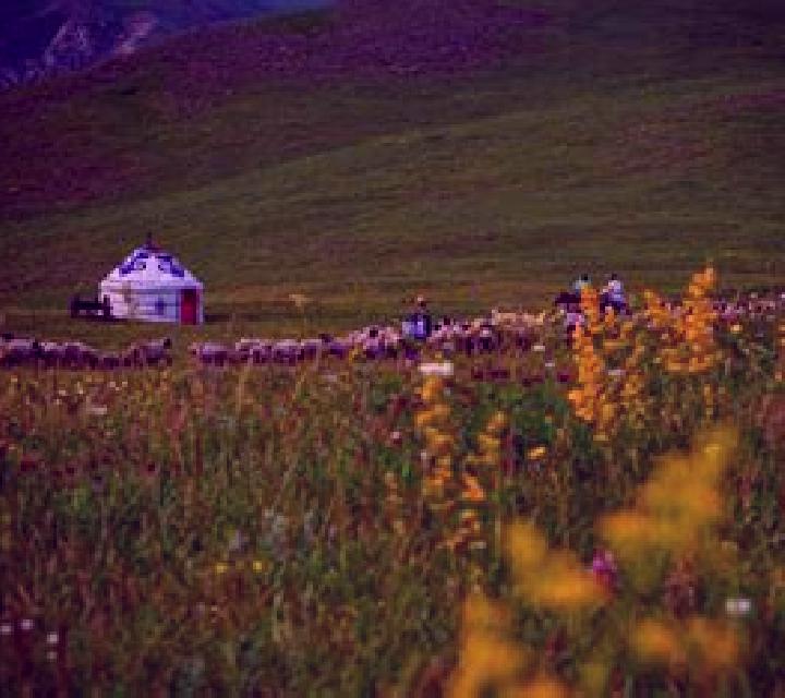 9 perfiles de escorts en Lchavan, Armenia. Explora chicas, servicios, tarifas y reserva online. En domicilio y visita disponibles.
