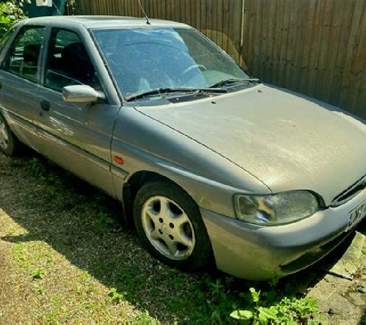 escort Abrevadero