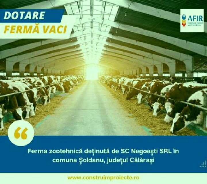escort Acalco
