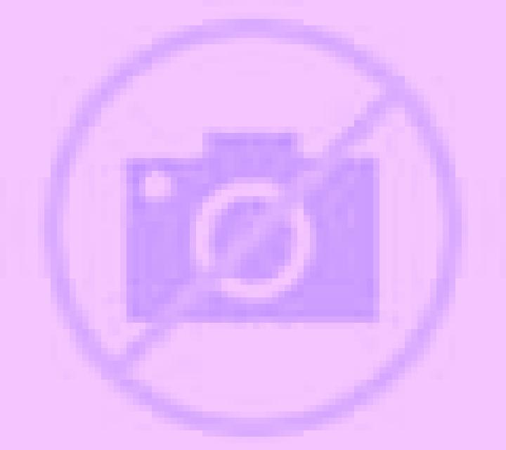 escort Baarn