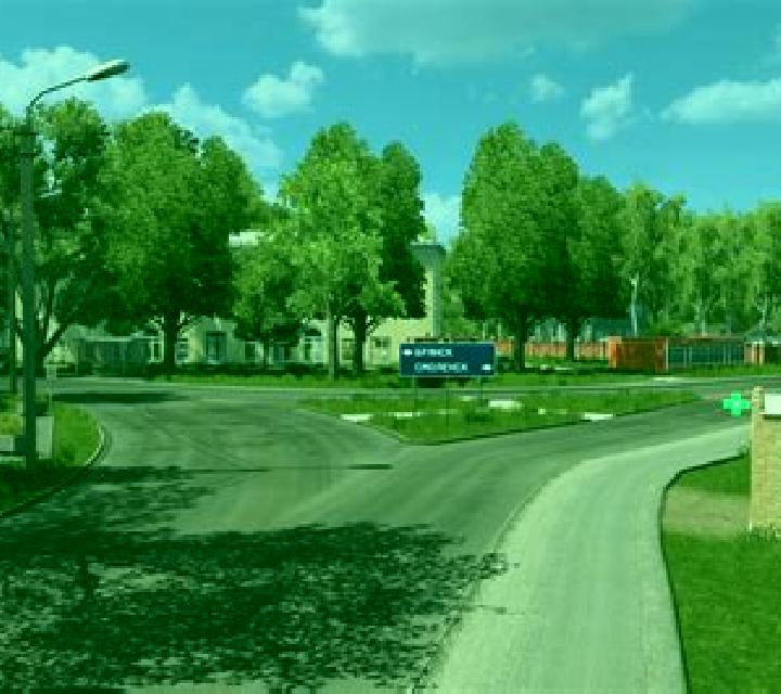 escort Bothkamp