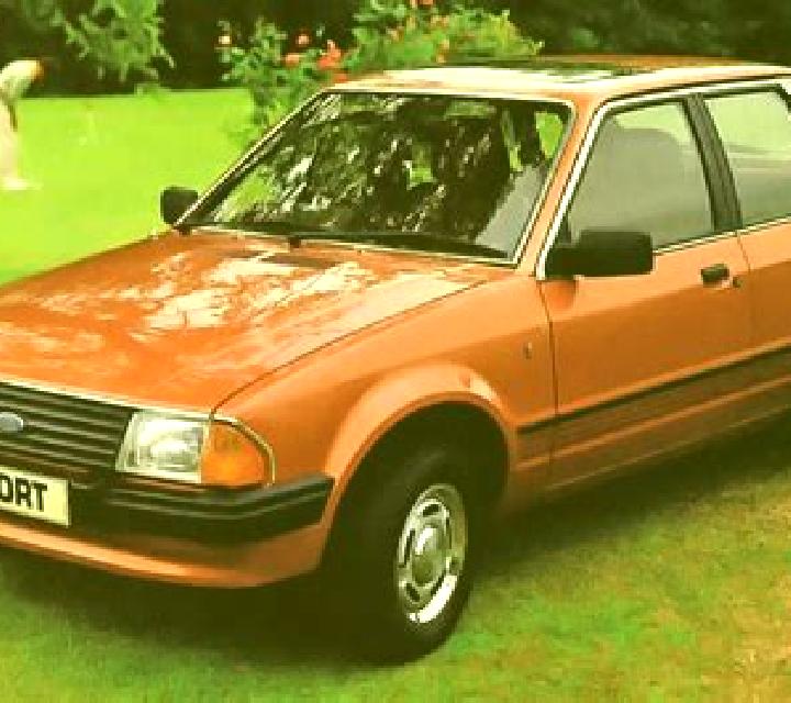 escort El Timbinal