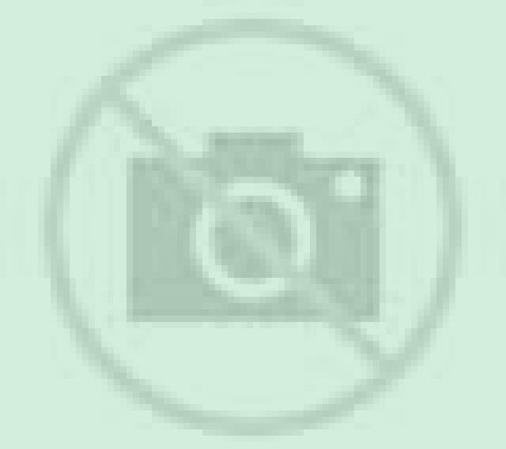 escort Gestel