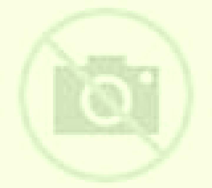 escort Klumpit