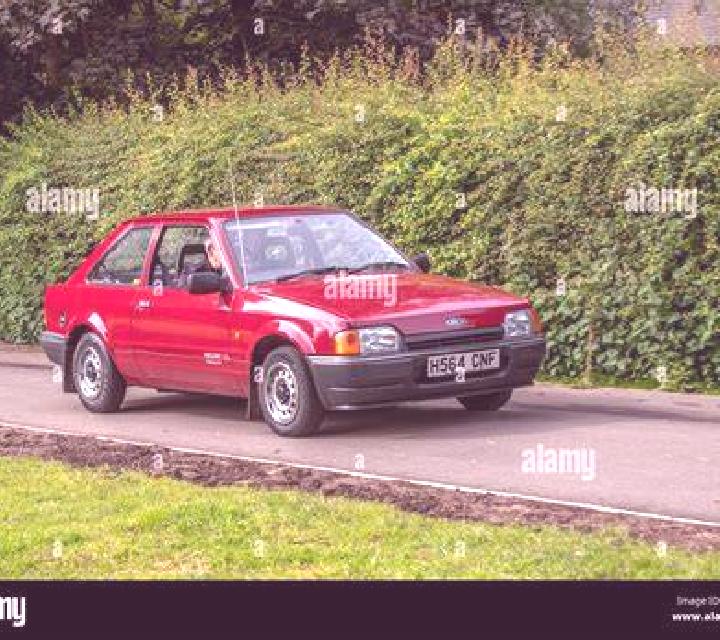 escort Loebnitz