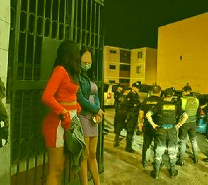 escort Madrigale