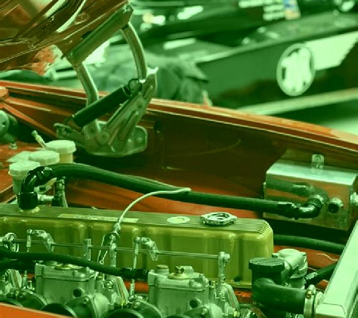 escort Negotin