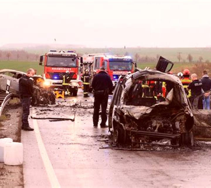escort Palula