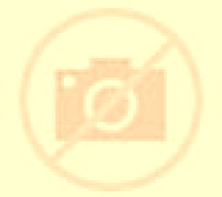 escort Rianapolis