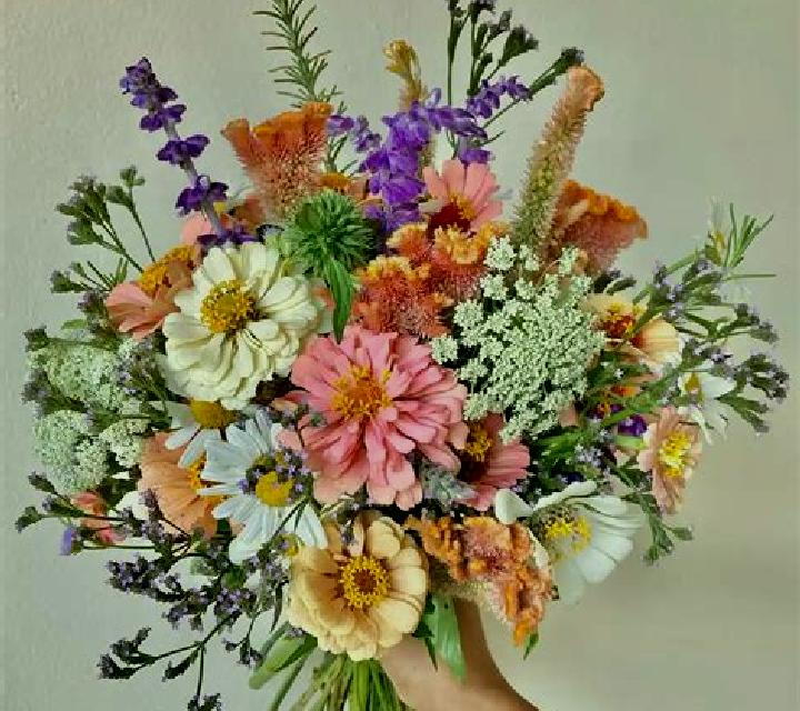 escort Stattegg