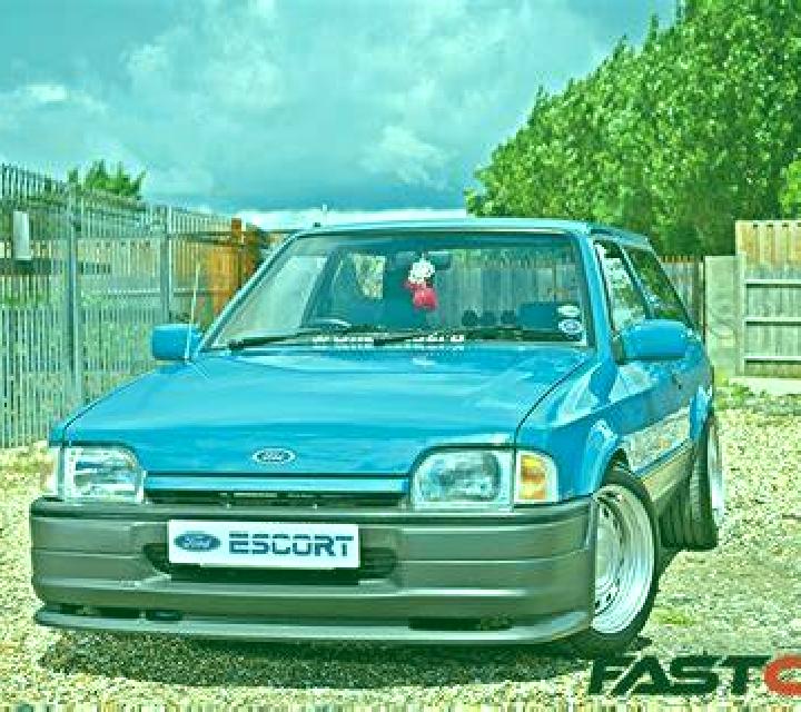 escort Taino