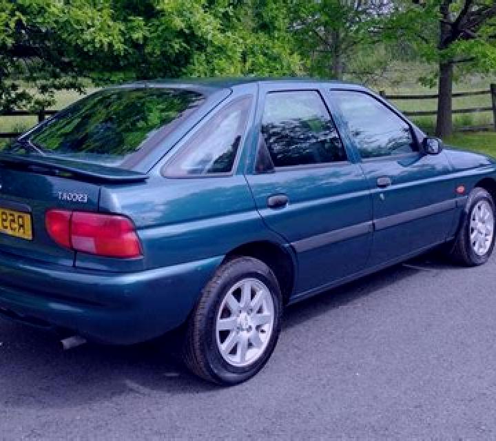 escort Waldesch