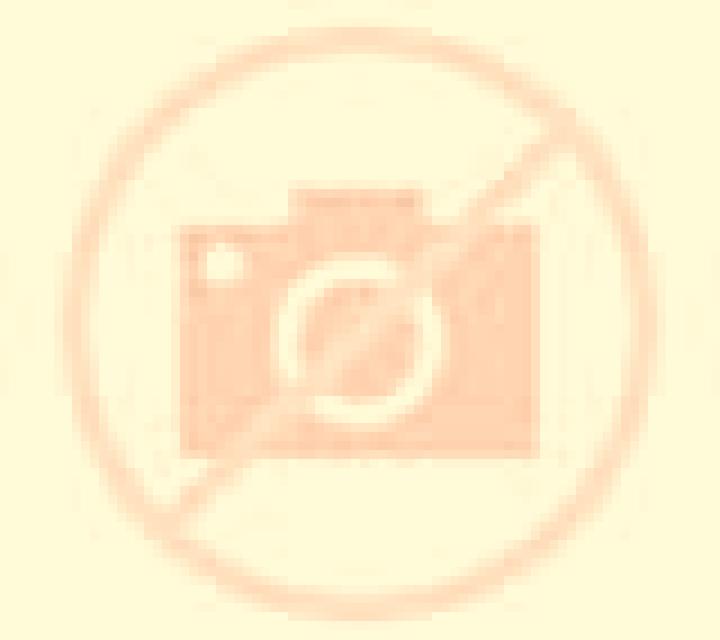 Escorts Elko, Estados Unidos — Chicas y putas locales