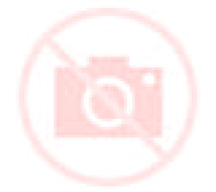 Escorts Ogunquit, Estados Unidos — Chicas y putas locales