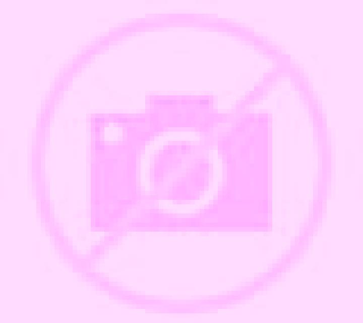 Escorts Slatington, Estados Unidos — Chicas y putas locales