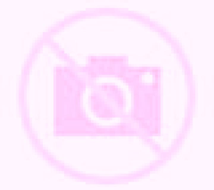 Escorts Tsetsegnuur, Mongolia — Chicas y putas locales