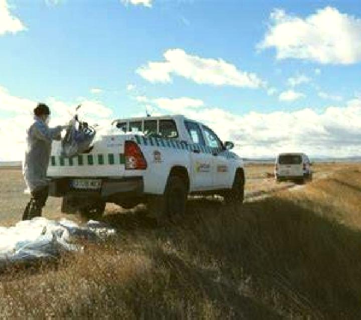 Escorts y putas en Cabo Verde — Directorio de ciudades