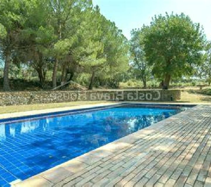 Ángela, 21 — Escort en Villalan de Campos, España