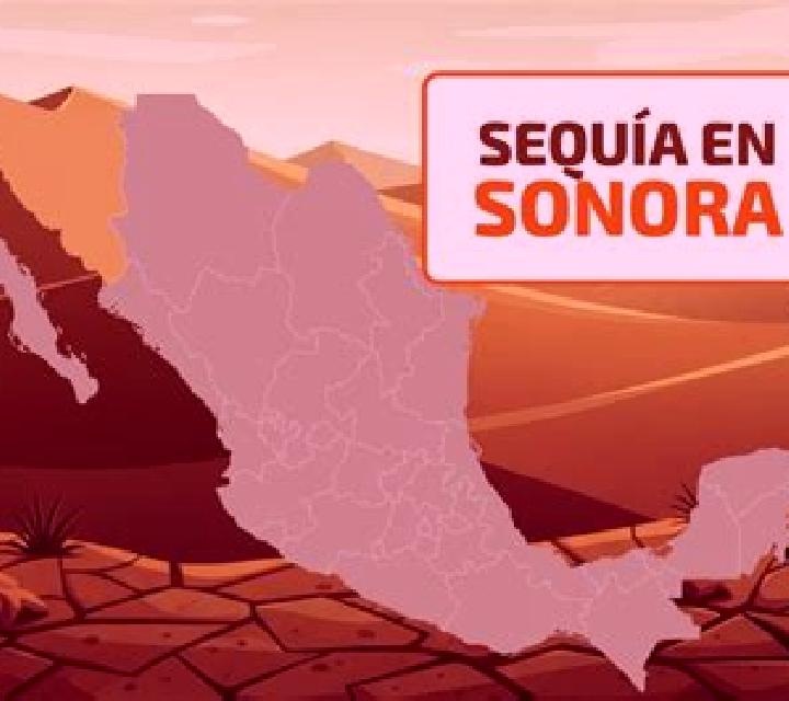 Sofía, 28, acompañante castaña de ojos grises y etnia oriente medio basada en Dockweiler. Ofrece Dominación, Striptease, Cita de cena, Hasta el final (CIM). ...
