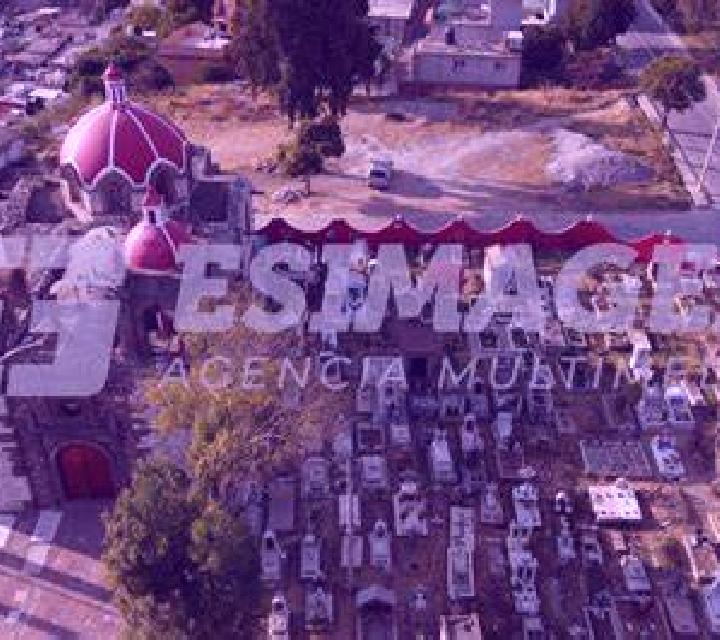 Sofía, 28, acompañante rubia de ojos grises y etnia mediterránea basada en Colonia Ejidal. Ofrece Francés natural, Hasta el final (CIM), Cita de cena. Dispon...