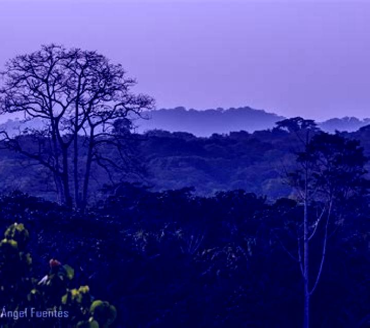 Sofía, 29, acompañante castaña de ojos verdes y etnia caucásica basada en Mount Forest. Ofrece Cita de cena, Masaje erótico, Acompañante de viaje, Tríos / dú...