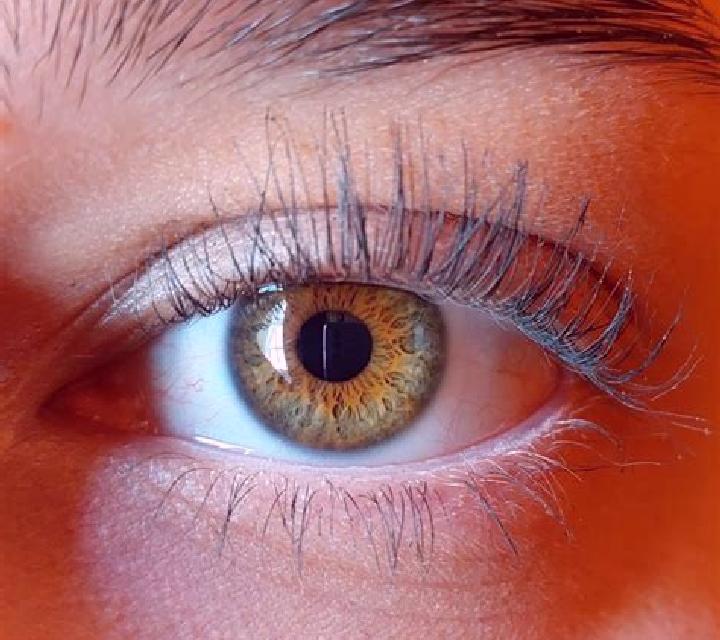 Sofía, 33, acompañante rubia platino de ojos verdes y etnia mediterránea basada en Kusel. Ofrece Tantra, Experiencia de novia, Dominación. Disponible en domi...