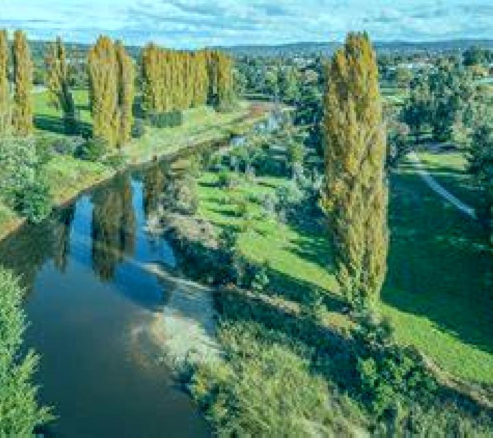 Sofía, 37, acompañante rubia de ojos azules y etnia mezcla basada en Burham. Ofrece Experiencia de novia, Fetiche, Masaje de próstata, Francés natural, Chica...