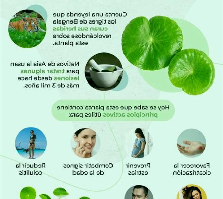 Sofía, 39 — Escort en Deinum, Países Bajos